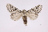  ( - INB0004265237)  @14 [ ] Copyright (2012) I. Chacon Instituto Nacional de Biodiversidad