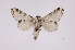  ( - INB0004265237)  @13 [ ] Copyright (2012) I. Chacon Instituto Nacional de Biodiversidad