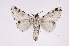  ( - INB0004265238)  @13 [ ] Copyright (2012) I. Chacon Instituto Nacional de Biodiversidad
