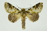  ( - INB0004265253)  @13 [ ] Copyright (2012) Juan Mata Lorenzen Unspecified