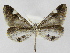  ( - INB0004265258)  @13 [ ] Copyright (2012) J. Montero Instituto Nacional de Biodiversidad