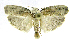  ( - INB0004269387)  @14 [ ] CreativeCommons - Attribution Non-Commercial Share-Alike  National Biodiversity Institute of Costa Rica National Biodiversity Institute of Costa Rica