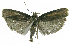  ( - INB0004269403)  @12 [ ] CreativeCommons - Attribution Non-Commercial Share-Alike  National Biodiversity Institute of Costa Rica National Biodiversity Institute of Costa Rica