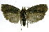  ( - INB0004269404)  @14 [ ] CreativeCommons - Attribution Non-Commercial Share-Alike  National Biodiversity Institute of Costa Rica National Biodiversity Institute of Costa Rica