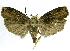  ( - INB0004269405)  @14 [ ] CreativeCommons - Attribution Non-Commercial Share-Alike  National Biodiversity Institute of Costa Rica National Biodiversity Institute of Costa Rica