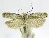  ( - INB0004269434)  @11 [ ] CreativeCommons - Attribution Non-Commercial Share-Alike  National Biodiversity Institute of Costa Rica National Biodiversity Institute of Costa Rica