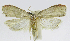  ( - INB0004269504)  @12 [ ] CreativeCommons - Attribution Non-Commercial Share-Alike  National Biodiversity Institute of Costa Rica National Biodiversity Institute of Costa Rica