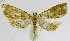  ( - INB0004269512)  @12 [ ] CreativeCommons - Attribution Non-Commercial Share-Alike  National Biodiversity Institute of Costa Rica National Biodiversity Institute of Costa Rica