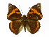  ( - INB0004269977)  @14 [ ] Copyright (2012) J. Montero Instituto Nacional de Biodiversidad