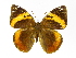  ( - INB0004270102)  @14 [ ] Copyright (2012) J. Montero Instituto Nacional de Biodiversidad