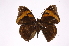  ( - INB0004273939)  @14 [ ] Copyright (2012) I. Chacon Instituto Nacional de Biodiversidad