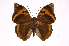  ( - INB0004278162)  @14 [ ] Copyright (2012) I. Chacon Instituto Nacional de Biodiversidad