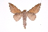  ( - INB0004280454)  @14 [ ] Copyright (2012) I. Chacon Instituto Nacional de Biodiversidad