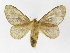  ( - INB0004309529)  @14 [ ] Copyright (2012) J. Montero Instituto Nacional de Biodiversidad