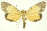  ( - INB0004338602)  @11 [ ] Copyright (2012) Juan Mata Lorenzen INBio