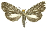  ( - INB0004370370)  @15 [ ] Copyright (2012) Juan Mata Lorenzen Unspecified