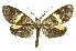  ( - INB0004370386)  @14 [ ] Copyright (2012) Juan Mata Lorenzen Unspecified
