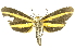  ( - INB0004370396)  @13 [ ] Copyright (2012) Juan Mata Lorenzen Unspecified