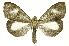  ( - INB0004370400)  @14 [ ] Copyright (2012) Juan Mata Lorenzen Unspecified