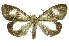  ( - INB0004370402)  @14 [ ] Copyright (2012) Juan Mata Lorenzen Unspecified