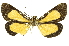 ( - INB0004370408)  @12 [ ] Copyright (2012) Juan Mata Lorenzen Unspecified
