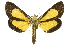  ( - INB0004370409)  @11 [ ] Copyright (2012) Juan Mata Lorenzen Unspecified