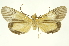 ( - INB0004370435)  @11 [ ] Copyright (2012) Juan Mata Lorenzen Unspecified