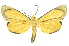  ( - INB0004370439)  @14 [ ] Copyright (2012) Juan Mata Lorenzen Unspecified