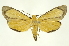  ( - INB0004370445)  @14 [ ] Copyright (2012) Juan Mata Lorenzen Unspecified