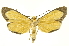  ( - INB0004370445)  @14 [ ] Copyright (2012) Juan Mata Lorenzen Unspecified