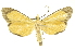  ( - INB0004370447)  @11 [ ] Copyright (2012) Juan Mata Lorenzen Unspecified