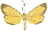  ( - INB0004370448)  @14 [ ] Copyright (2012) Juan Mata Lorenzen Unspecified