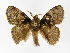  ( - INBIOCRI000002695)  @14 [ ] Copyright (2012) J. Montero Instituto Nacional de Biodiversidad