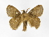  ( - INBIOCRI000002695)  @13 [ ] Copyright (2012) J. Montero Instituto Nacional de Biodiversidad