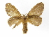  ( - INBIOCRI000019803)  @13 [ ] Copyright (2012) J. Montero Instituto Nacional de Biodiversidad