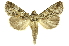  ( - INBIOCRI000021175)  @11 [ ] Copyright (2012) Juan Mata Lorenzen INBio
