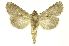  ( - INBIOCRI000021175)  @11 [ ] Copyright (2012) Juan Mata Lorenzen INBio