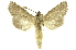  ( - INBIOCRI000098891)  @11 [ ] Copyright (2012) Juan Mata Lorenzen INBio