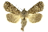  ( - INBIOCRI000116393)  @11 [ ] Copyright (2012) Juan Mata Lorenzen INBio