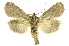  ( - INBIOCRI000116393)  @11 [ ] Copyright (2012) Juan Mata Lorenzen INBio