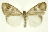  ( - INBIOCRI000142885)  @11 [ ] Copyright (2012) Juan Mata Lorenzen Unspecified