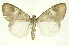  ( - INBIOCRI000142885)  @11 [ ] Copyright (2012) Juan Mata Lorenzen Unspecified