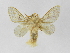  ( - INBIOCRI000153091)  @11 [ ] Copyright (2012) J. Montero Instituto Nacional de Biodiversidad