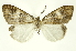  ( - INBIOCRI000157307)  @14 [ ] Copyright (2012) Juan Mata Lorenzen Unspecified