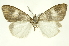  ( - INBIOCRI000157307)  @13 [ ] Copyright (2012) Juan Mata Lorenzen Unspecified