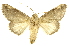  ( - INBIOCRI000161382)  @13 [ ] Copyright (2012) J. Montero INBio