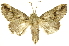  ( - INBIOCRI000161400)  @14 [ ] Copyright (2012) J. Montero INBio