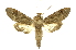  ( - INBIOCRI000161931)  @14 [ ] Copyright (2012) Juan Mata Lorenzen INBio