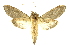  ( - INBIOCRI000161931)  @14 [ ] Copyright (2012) Juan Mata Lorenzen INBio