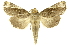 ( - INBIOCRI000163782)  @14 [ ] Copyright (2012) J. Montero INBio
